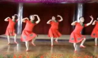 水兵舞基本步教学 水兵舞基本步教学